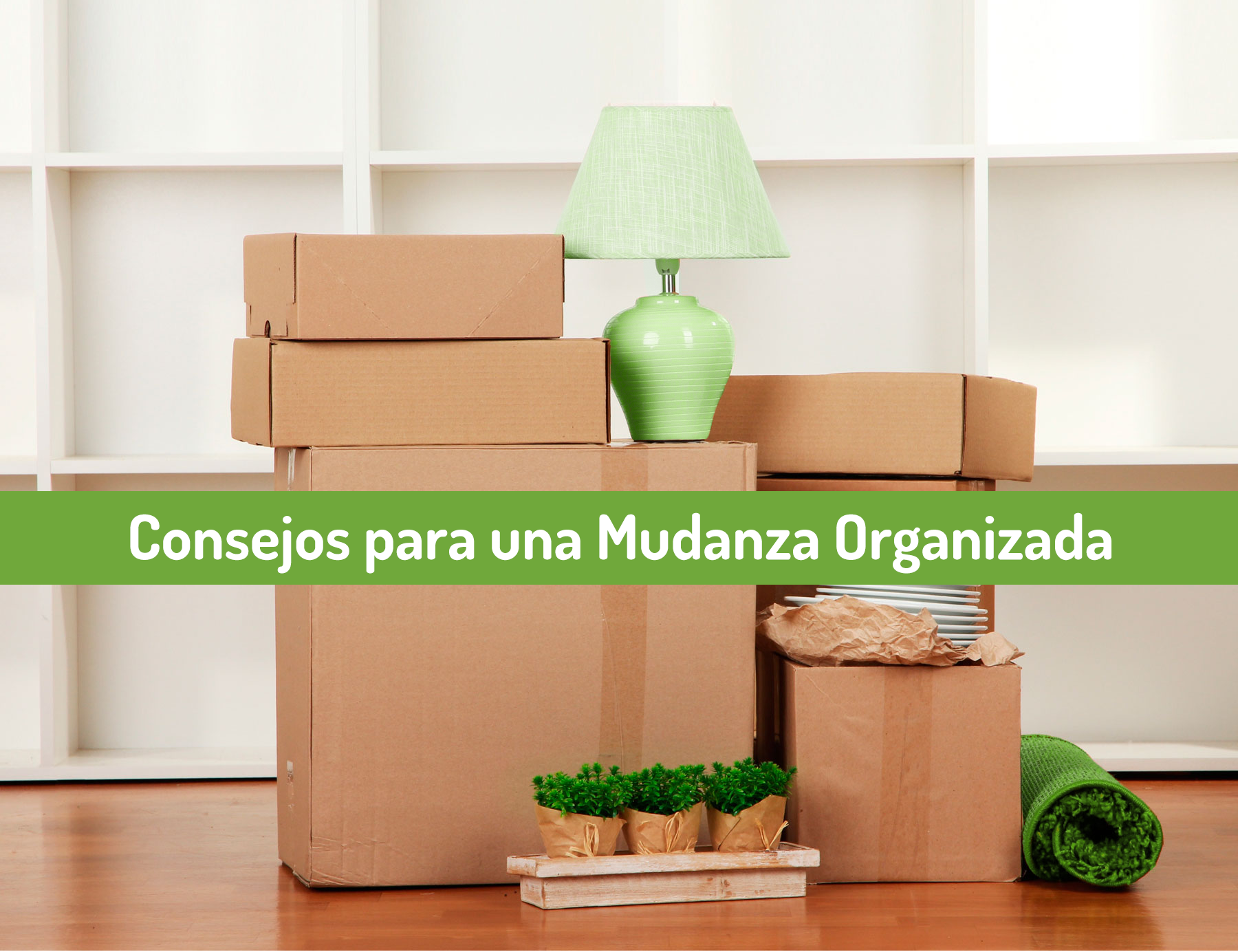 mundaza organizada Planetacasa