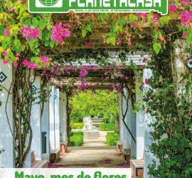 Revista inmobiliaria Málaga (7)