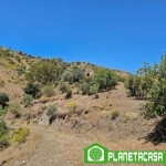 REBAJADO! Finca de 18.000m² en Cártama, Málaga - CM46A