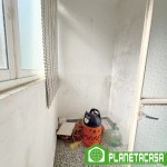 FT265P (11)