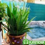 Chalet pareado de 5 dormitorios, 2 baños, aseo, patio y piscina privada en el Sexmo - CM350A en 29580 El Sexmo, Málaga, España para 350000