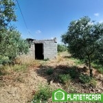 Finca rústica de 5.102m² en Alhaurín de la Torre - CM69A at 29130 Alhaurín de la Torre, Málaga, España for 69000