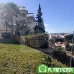 WhatsApp Image 2025-12-10 at 10.41.51