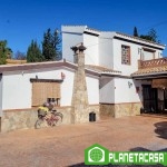 CHALET INDEPENDIENTE EN CÁRTAMA (3)