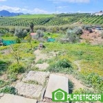 FINCA EN PROINDIVISO EN CÁRTAMA (10)