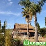 FINCA RÚSTICA SEXMO (2)