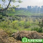 FINCA RÚSTICA SEXMO (24)