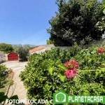 Casa con terreno en Cártama (25)