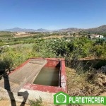 Finca rústica de 5150m² en Cártama (6)