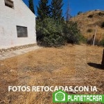 Finca rústica en Cártama (4)